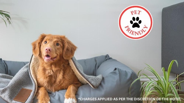 American Best Inn By OYO I-35 Perry image 27